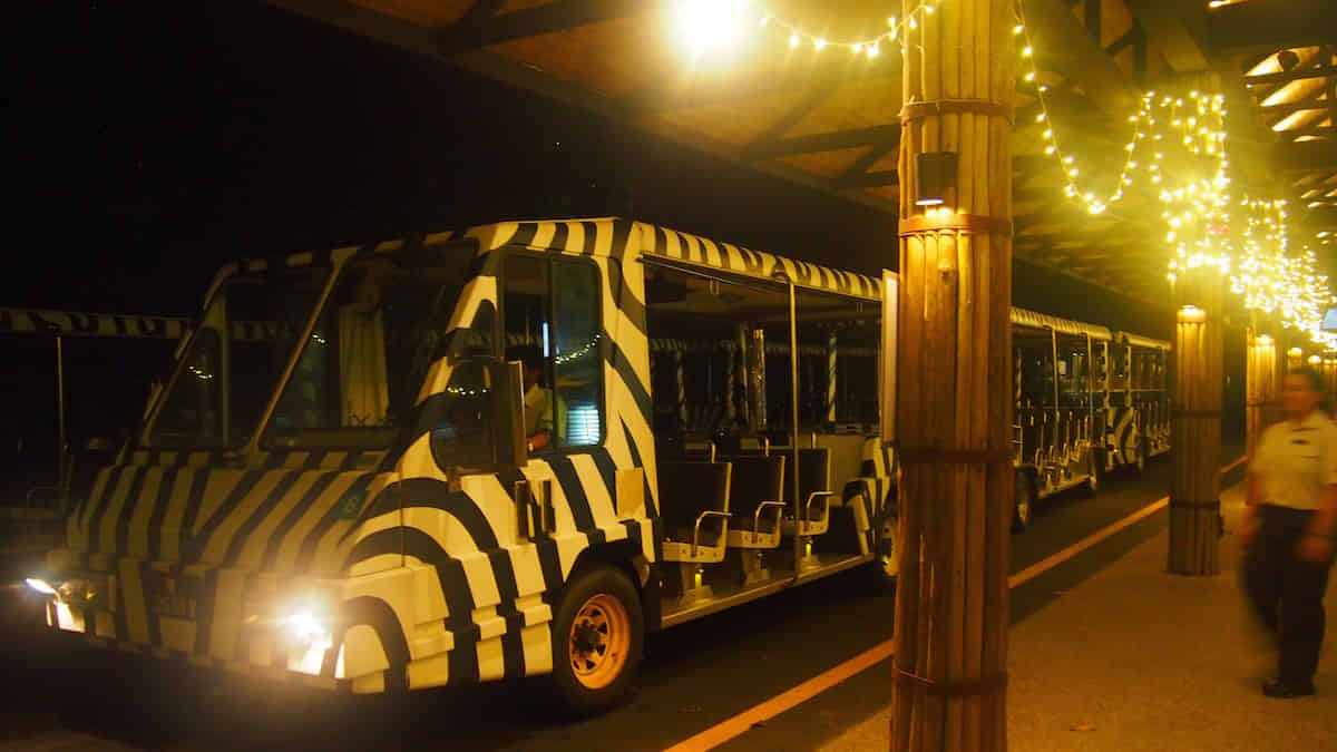 Night Safari with Tram on private Basis